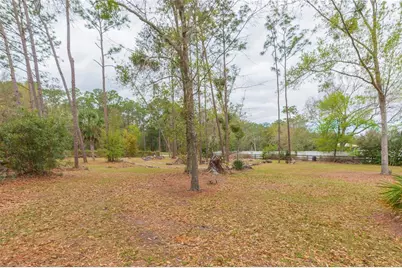 4772 Drexel Road, Land O Lakes, FL 34638 - Photo 5