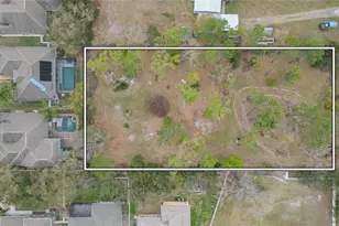 4772 Drexel Rd, Land O Lakes, FL 34638 - Photo 1