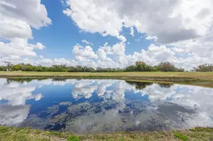 917 Villeroy Greens Dr, Sun City Center, FL 33573 - Photo 39