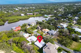 402 Orchid Ln Ln, Palm Harbor, FL 34683 - Photo 41