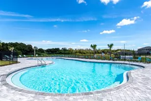 11815 Stone Pine St, Riverview, FL 33569 - Photo 33