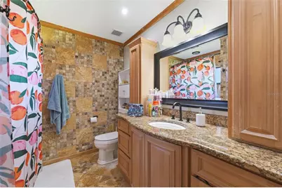 12935 Rain Forest Street, Temple Terrace, FL 33617 - Photo 23