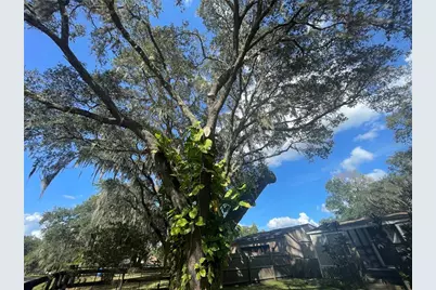 8824 Overlook Dr, Wesley Chapel, FL 33545 - Photo 33