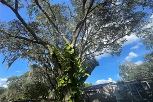 8824 Overlook Dr, Wesley Chapel, FL 33545 - Photo 33