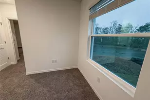 11346 Velvet Apricot Dr, Land O Lakes, FL 34638 - Photo 39