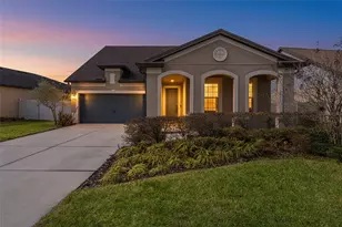 8296 Olive Brook Dr, Wesley Chapel, FL 33545 - Photo 1