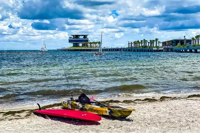 238 43rd Avenue N, Saint Petersburg, FL 33703 - Photo 29