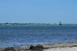 2700 Bayshore Blvd, Dunedin, FL 34698 - Photo 31