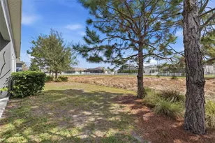 8130 Water Color Dr, Land O Lakes, FL 34638 - Photo 39