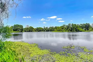 3810 Hollister Pl, Brandon, FL 33511 - Photo 37