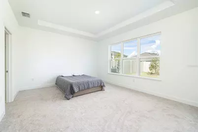 13699 Cannon Drive, Odessa, FL 33556 - Photo 25