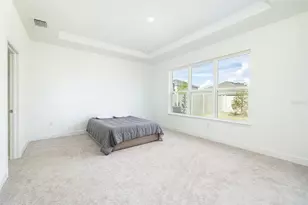 13699 Cannon Dr, Odessa, FL 33556 - Photo 25