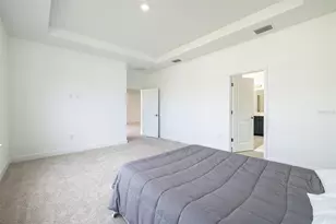 13699 Cannon Dr, Odessa, FL 33556 - Photo 27