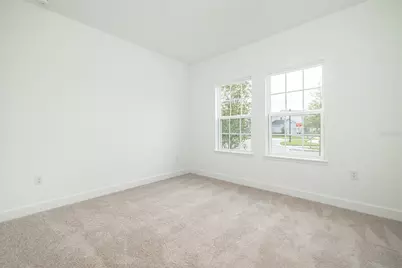 13699 Cannon Drive, Odessa, FL 33556 - Photo 37