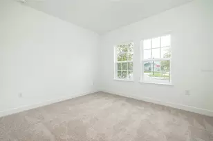 13699 Cannon Dr, Odessa, FL 33556 - Photo 37