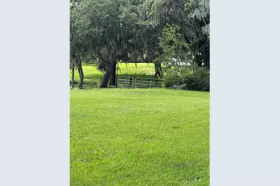 30400 Hillside Lane, Wesley Chapel, FL 33545 - Photo 3