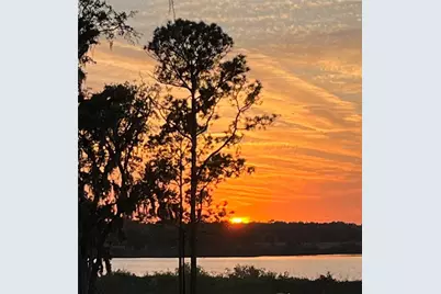 30400 Hillside Lane, Wesley Chapel, FL 33545 - Photo 9