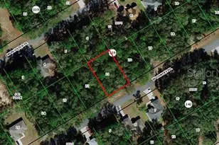 509 W Dandee Pl, Citrus Springs, FL 34434 - Photo 1