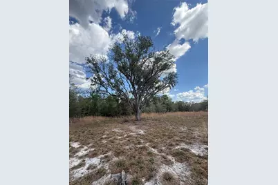 4021 Bruton Road, Plant City, FL 33565 - Photo 15