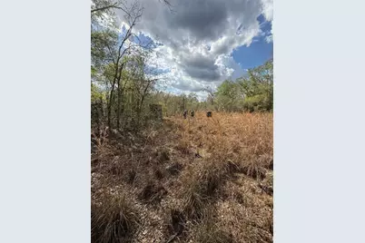 4021 Bruton Road, Plant City, FL 33565 - Photo 33