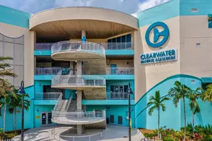 441 Palm Island NE, Clearwater, FL 33767 - Photo 53