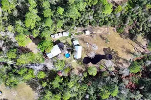 21038 Reindeer Rd, Christmas, FL 32709 - Photo 87