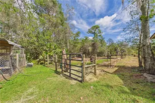 21038 Reindeer Rd, Christmas, FL 32709 - Photo 79