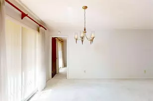 7113 Lauder Pl, Tampa, FL 33617 - Photo 11