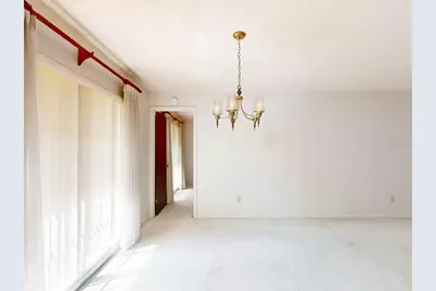 7113 Lauder Place, Tampa, FL 33617 - Photo 13