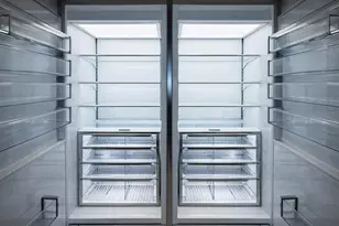 3015 S Ysabella Ave, Tampa, FL 33629 - Photo 9