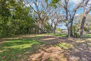 804 Robin Ave, Palm Harbor, FL 34683 - Photo 41