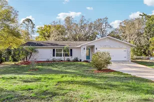 804 Robin Ave, Palm Harbor, FL 34683 - Photo 1