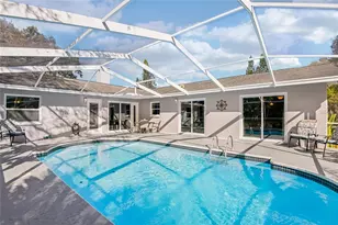 804 Robin Ave, Palm Harbor, FL 34683 - Photo 35