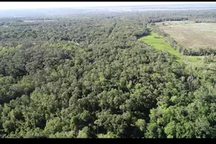 1040 Cracker Hammock, Sebring, FL 33875 - Photo 7