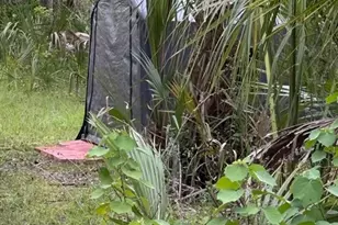 1040 Cracker Hammock, Sebring, FL 33875 - Photo 11