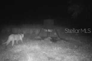 1040 Cracker Hammock, Sebring, FL 33875 - Photo 5