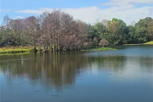 433 Sail Fish Blvd, Oldsmar, FL 34677 - Photo 11