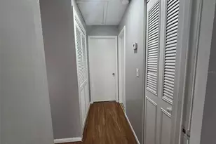 920 Otto Villa Pl, Tampa, FL 33612 - Photo 7