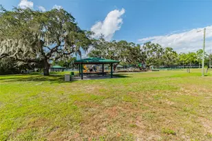 4009 Orangefield Pl, Valrico, FL 33596 - Photo 45