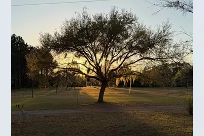 1735 Dorothy Boulevard, Lutz, FL 33558 - Photo 23