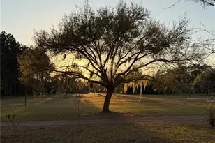 1735 Dorothy Blvd, Lutz, FL 33558 - Photo 23