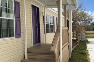 1735 Dorothy Blvd, Lutz, FL 33558 - Photo 3