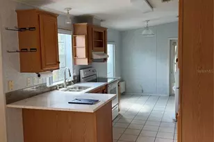 1735 Dorothy Blvd, Lutz, FL 33558 - Photo 7