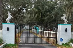 20111 Old Trilby Rd, Dade City, FL 33523 - Photo 1