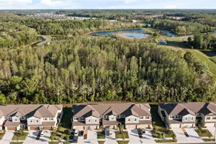 17712 Nectar Flume Dr, Land O Lakes, FL 34638 - Photo 47