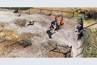 4361 Cooper Road, Plant City, FL 33565 - Photo 21