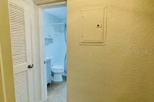 212 S Church Ave, Tampa, FL 33609 - Photo 19