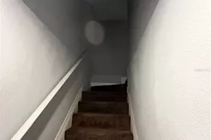 4539 Bay Spring Ct, Tampa, FL 33611 - Photo 7