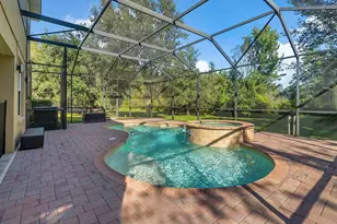 18022 Maui Isle Dr, Tampa, FL 33647 - Photo 47