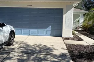 11729 Crest Creek Dr, Riverview, FL 33569 - Photo 1
